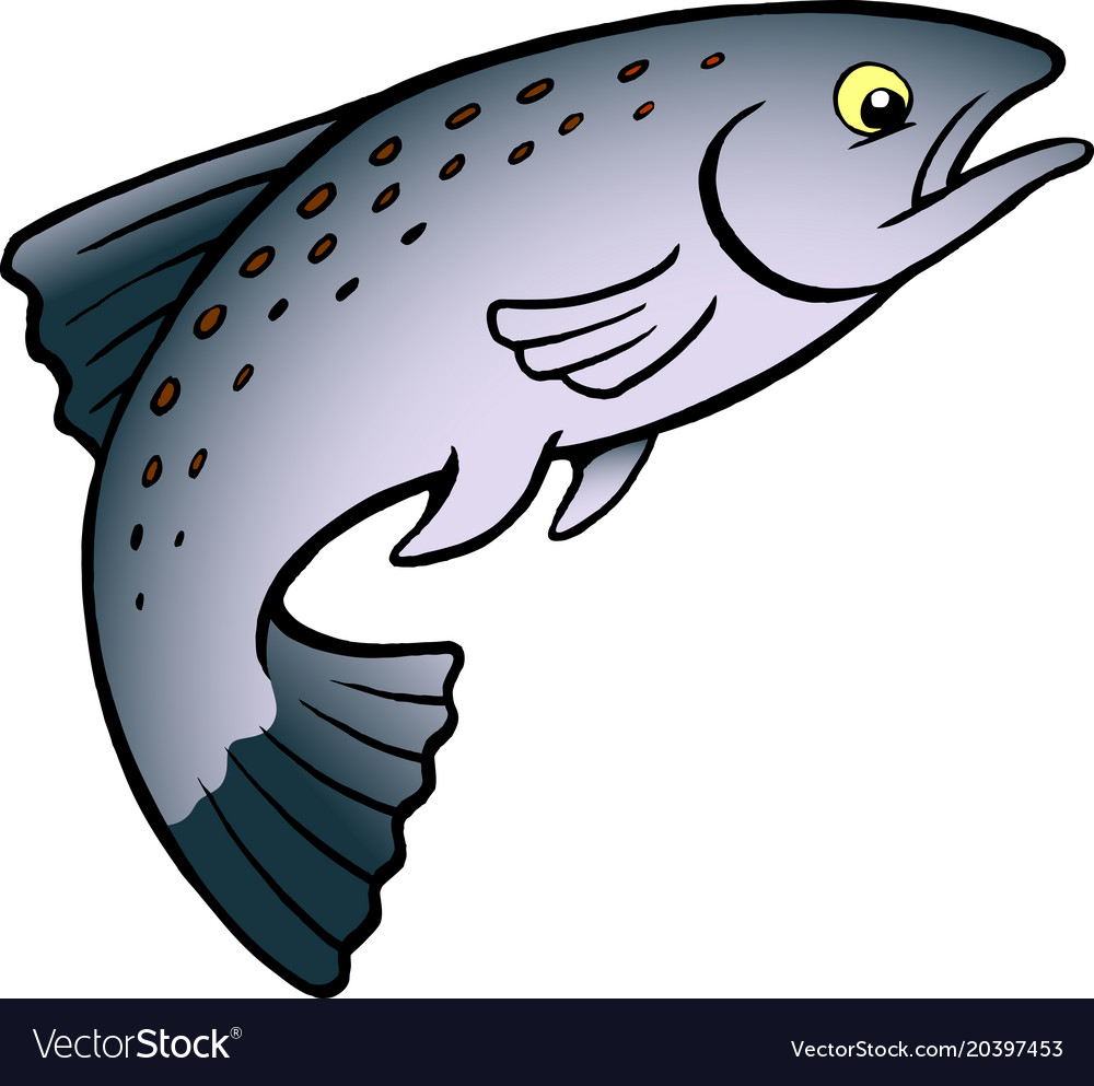 Cartoon of a salmon or trout fish Royalty Free Vector Image