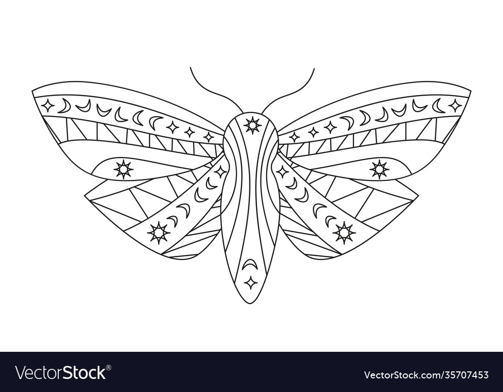 Gothic moth silhouette in outline style beauty