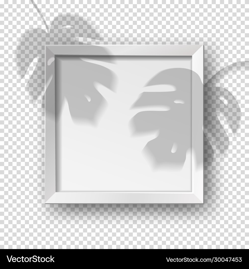 Realistic square empty picture frame Royalty Free Vector