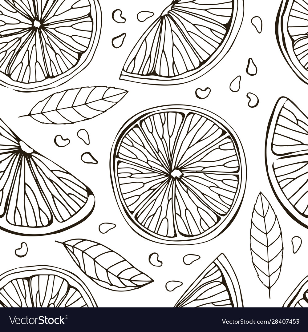 Seamless pattern lemon itrus lime isolated