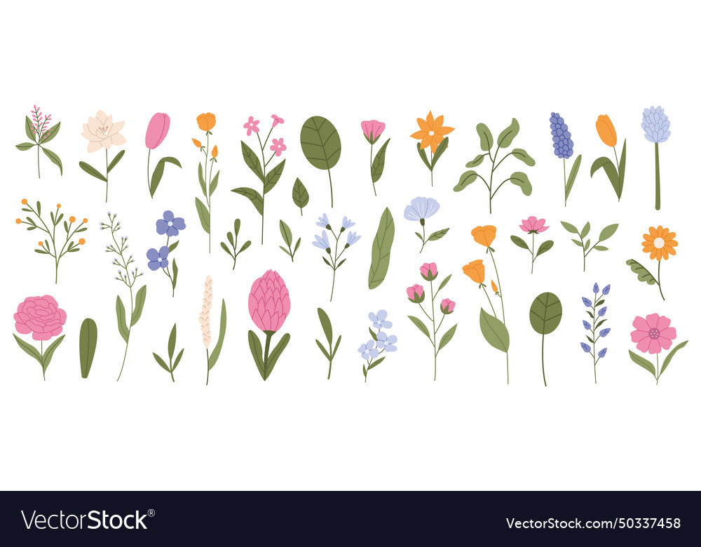 Collection of various flowers