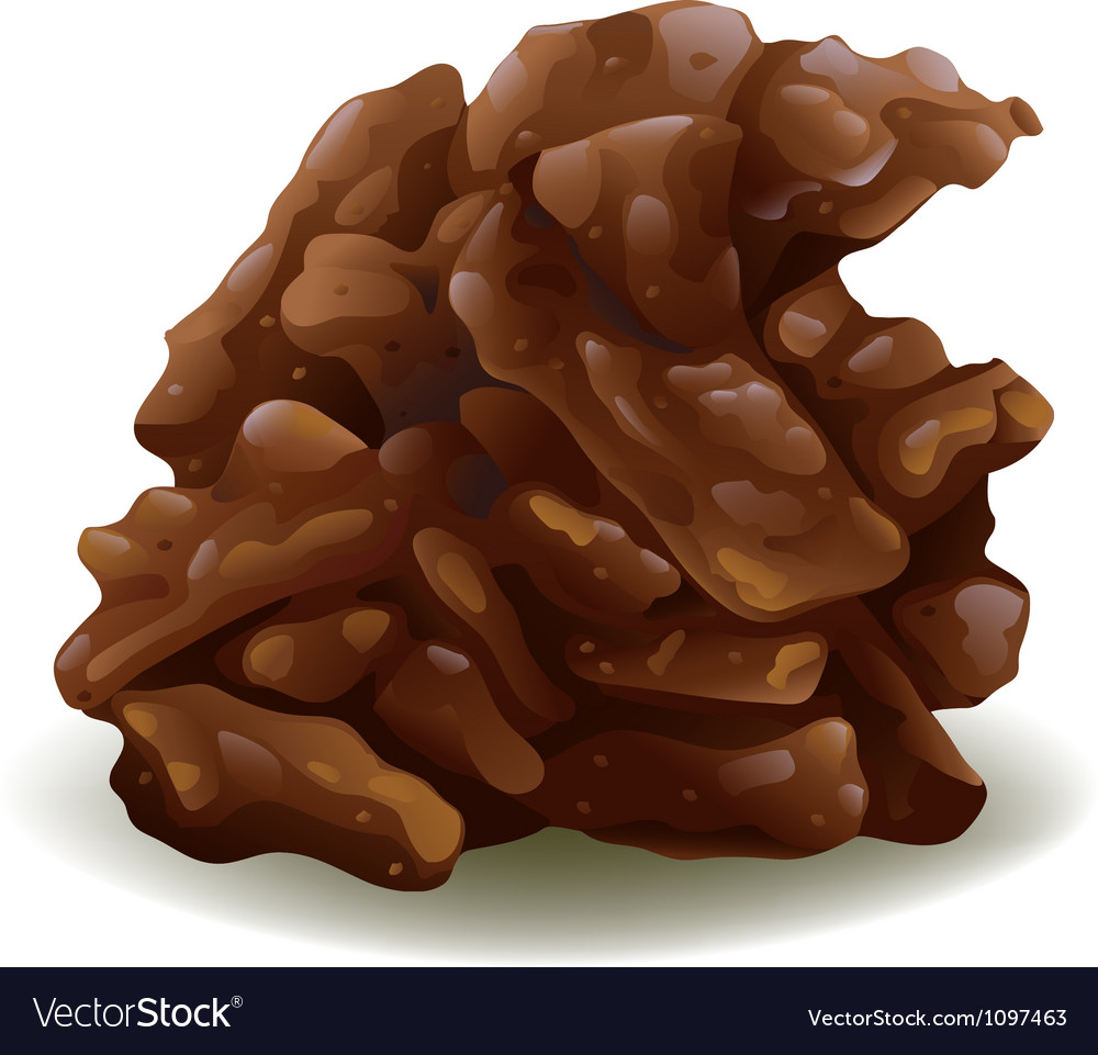Chocolate Royalty Free Vector Image - VectorStock