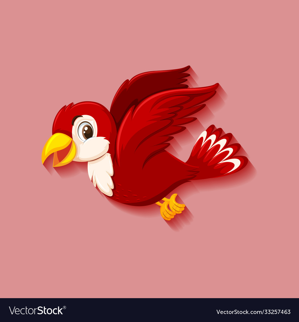 Cute red bird cartoon character