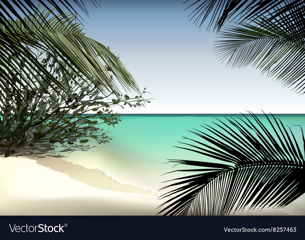 Tropical beach