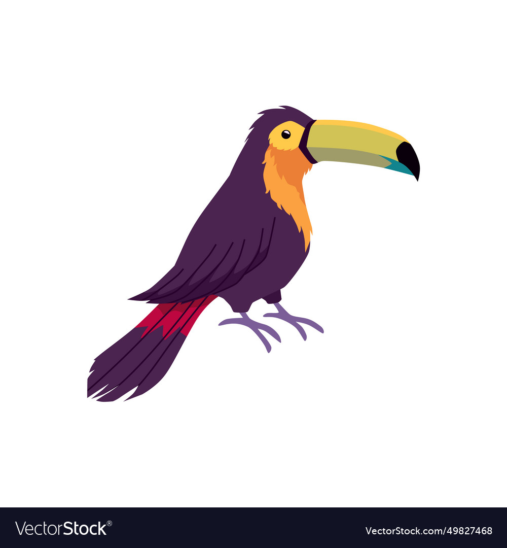 Tropical toucan bird on the branch cartoon exotic Vector Image