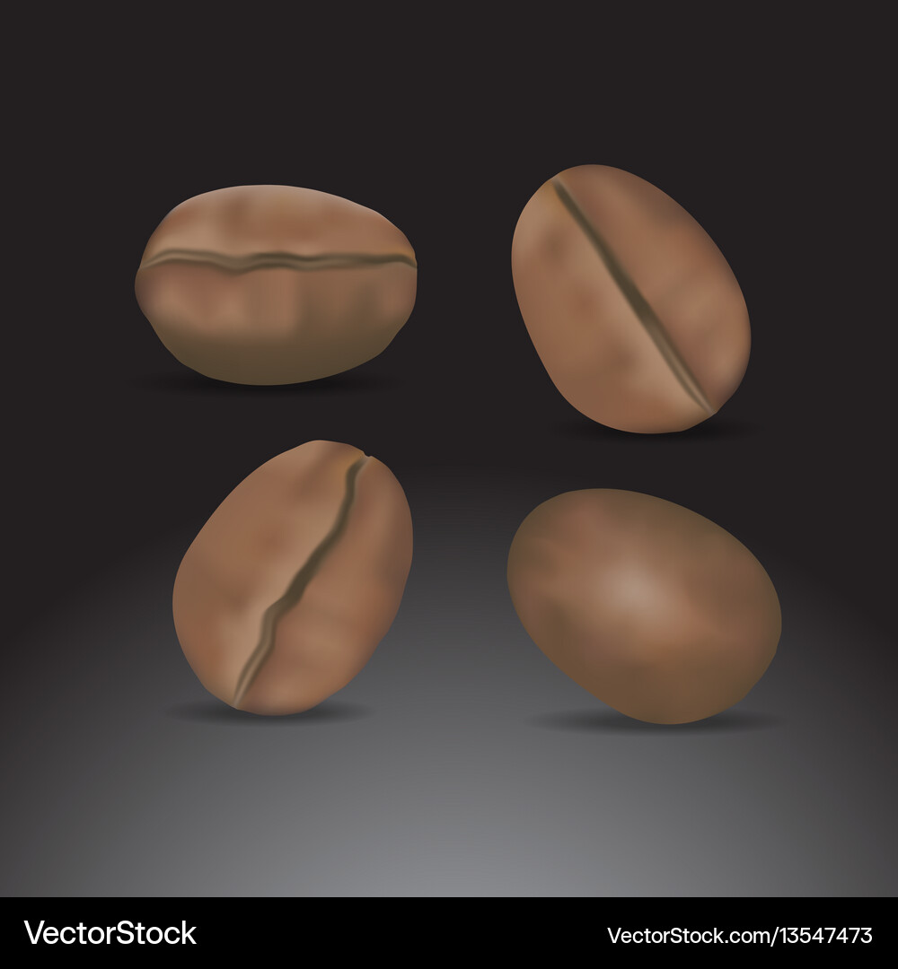 Coffee bean Royalty Free Vector Image - VectorStock