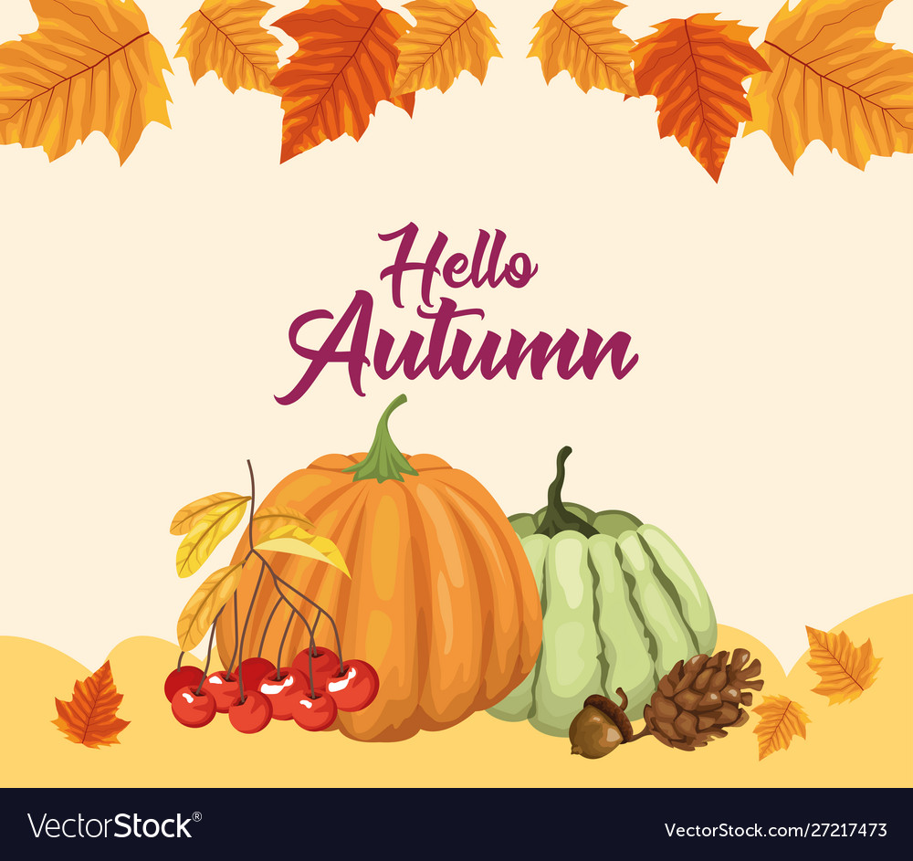 Hello autumn season frame with fruits and leafs Vector Image