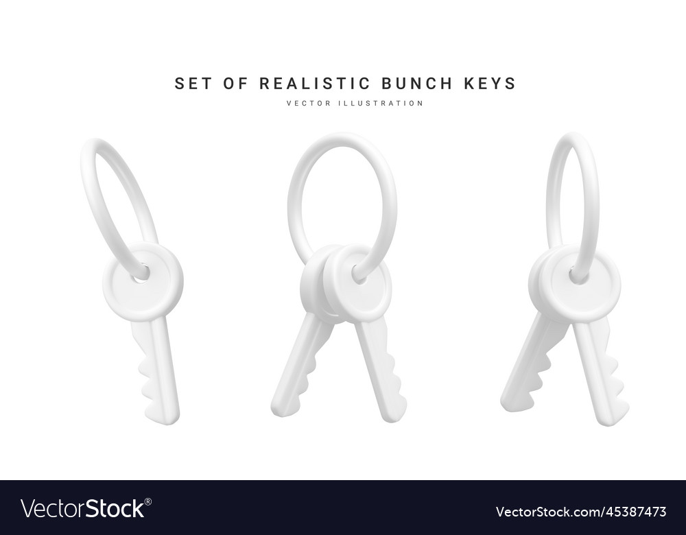 Set of 3d realistic bunch keys isolated vector image Set of 3d realistic bunch keys isolated