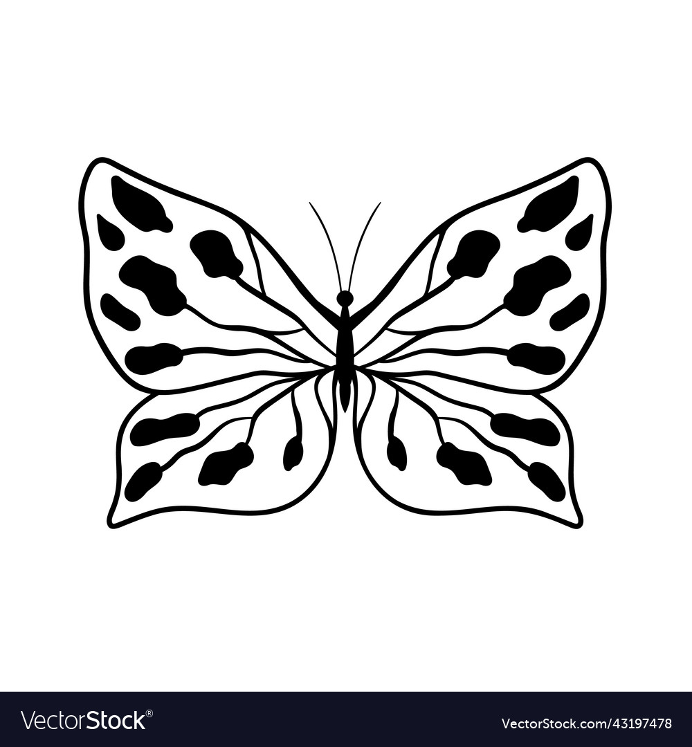 Isolated Black Butterfly