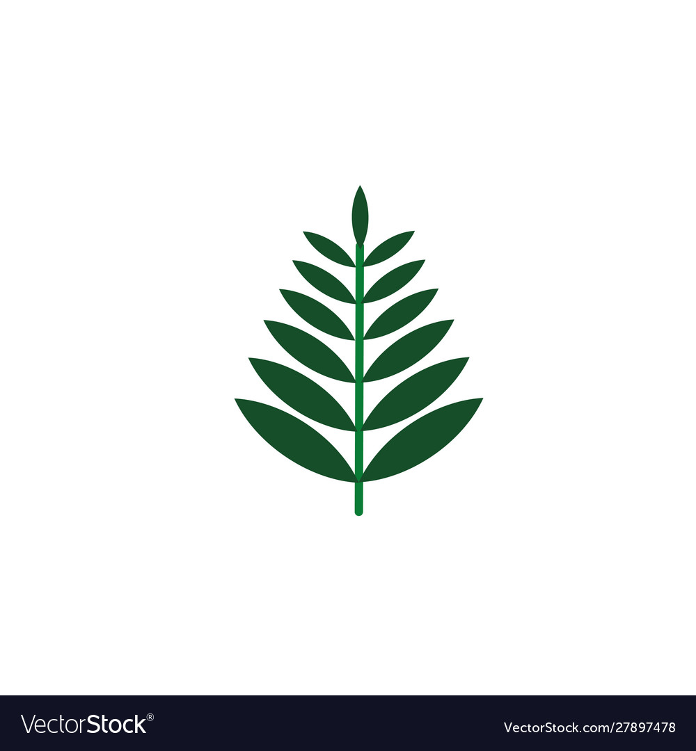 Rowan branch foliage nature leaf icon flat