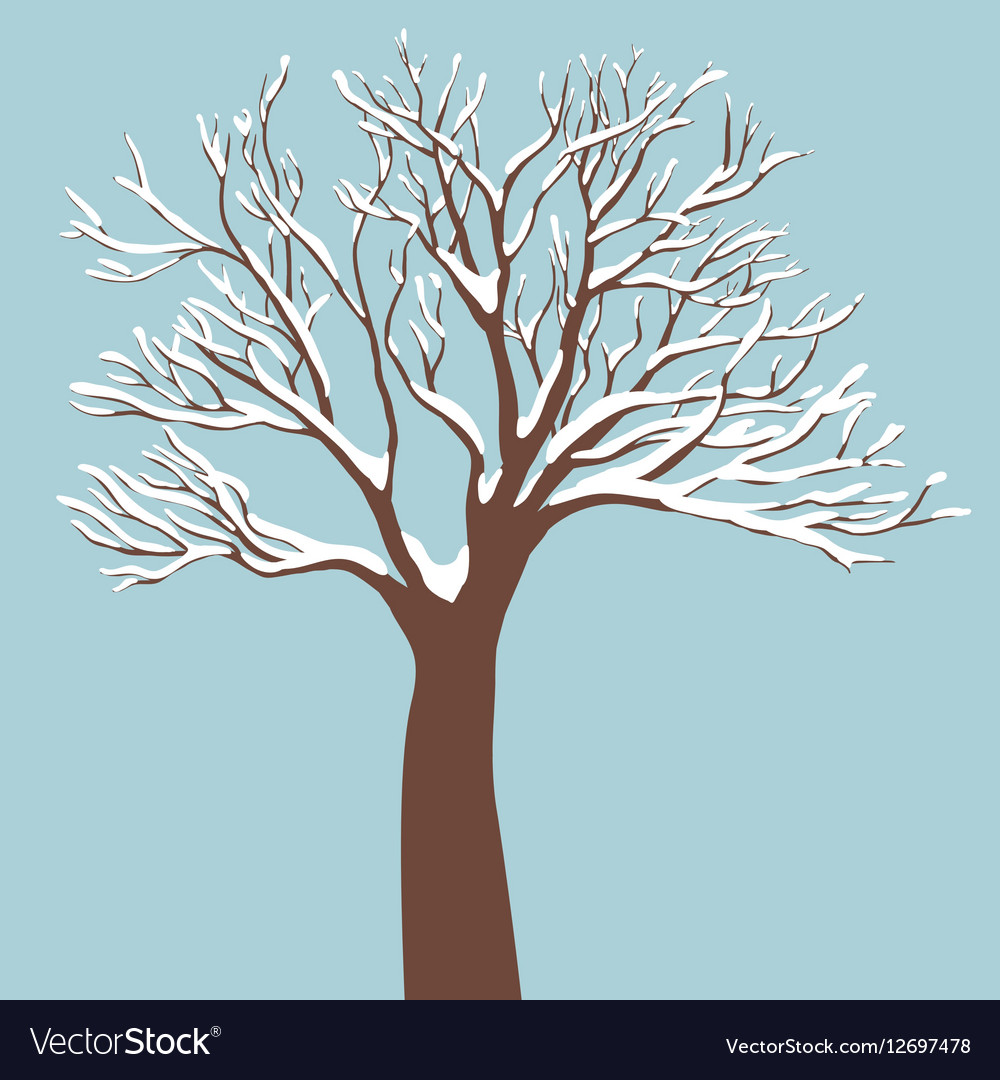 Tree-with-snow-on-the-branches