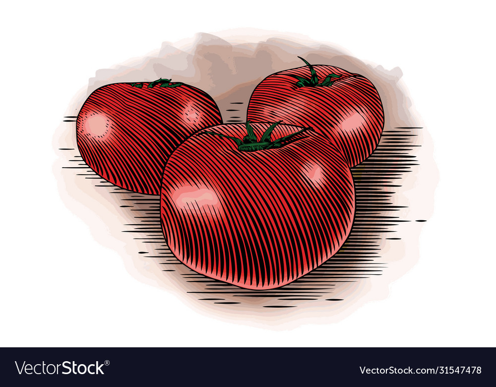 Woodcut Tomatoes Royalty Free Vector Image - Vectorstock