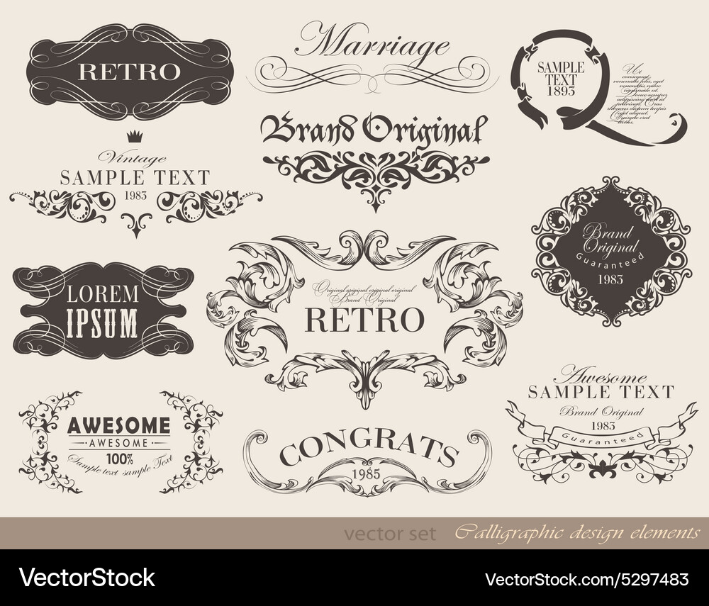 Calligraphic design elements Royalty Free Vector Image