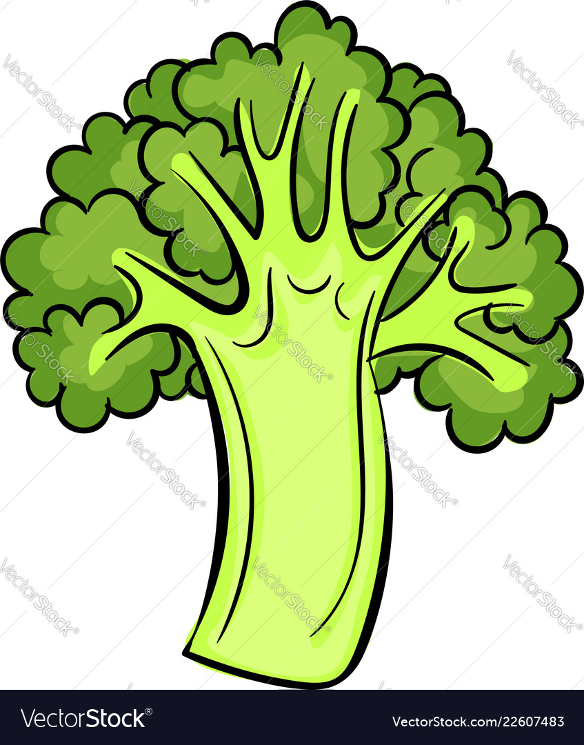 Italian broccoli icon cartoon style Royalty Free Vector Italian broccoli icon cartoon style Royalty Free Vector