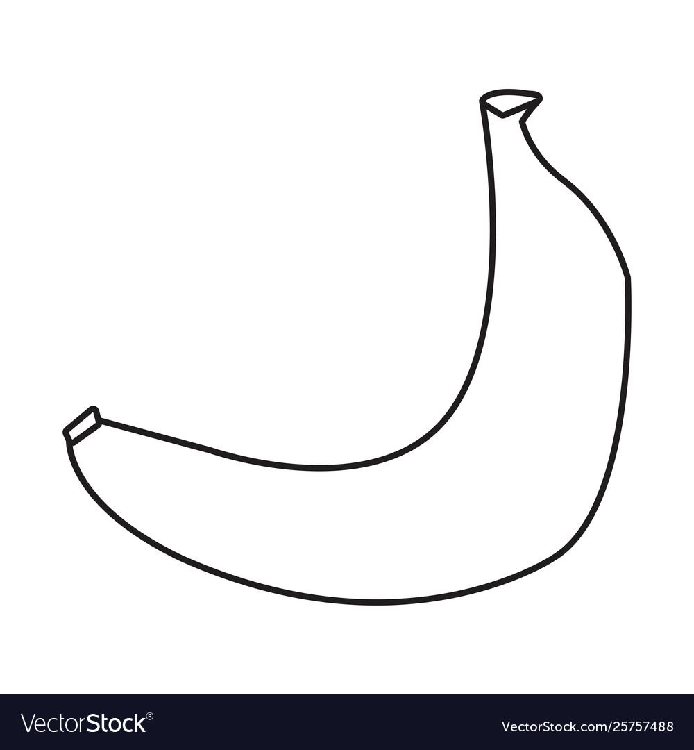 Banana outline sketch on white background