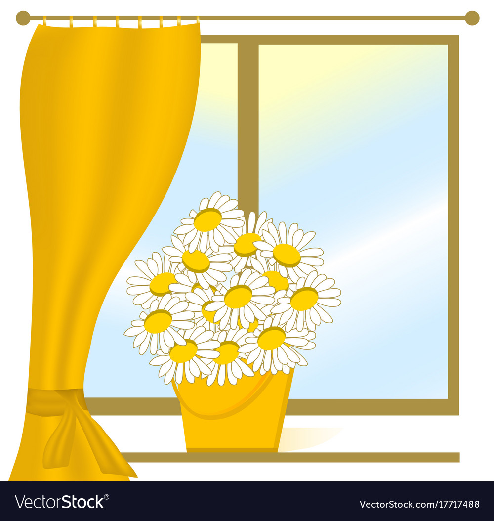 Chamomile on the window