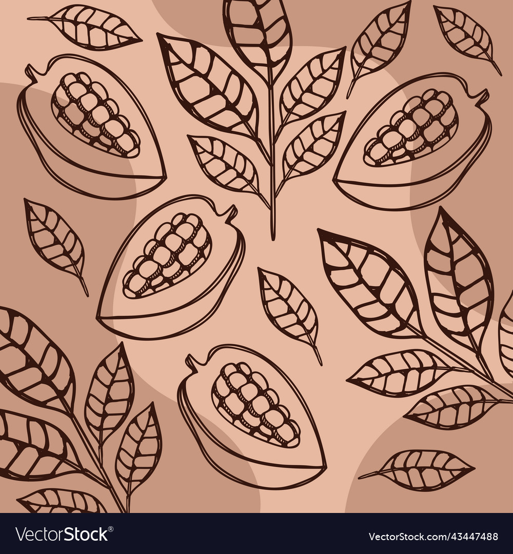Cocoa fruits pattern