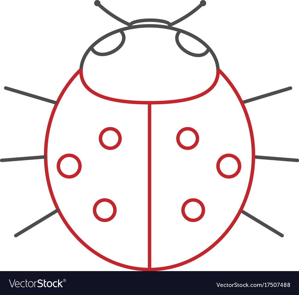 Red Ladybug on White Background
