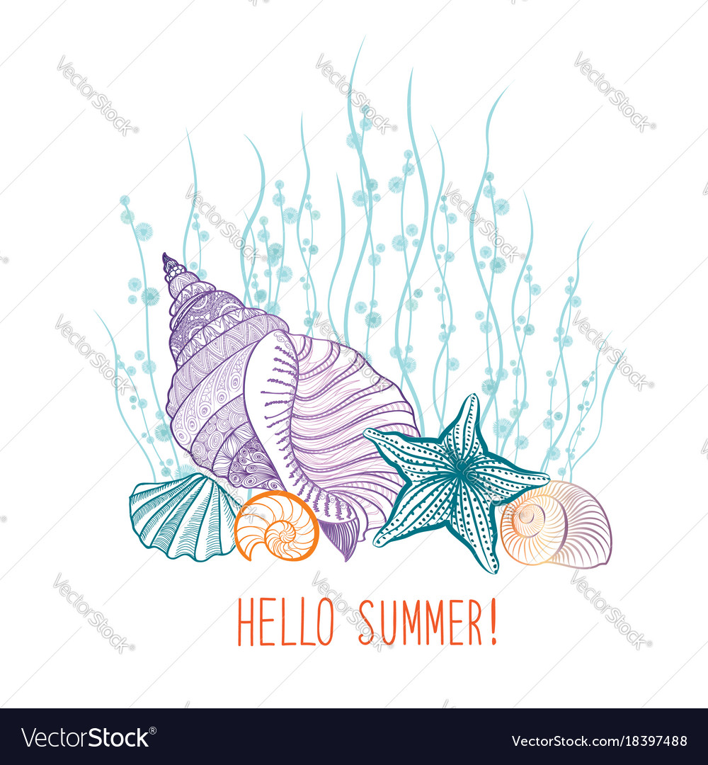 Seashell Summer Seascapes