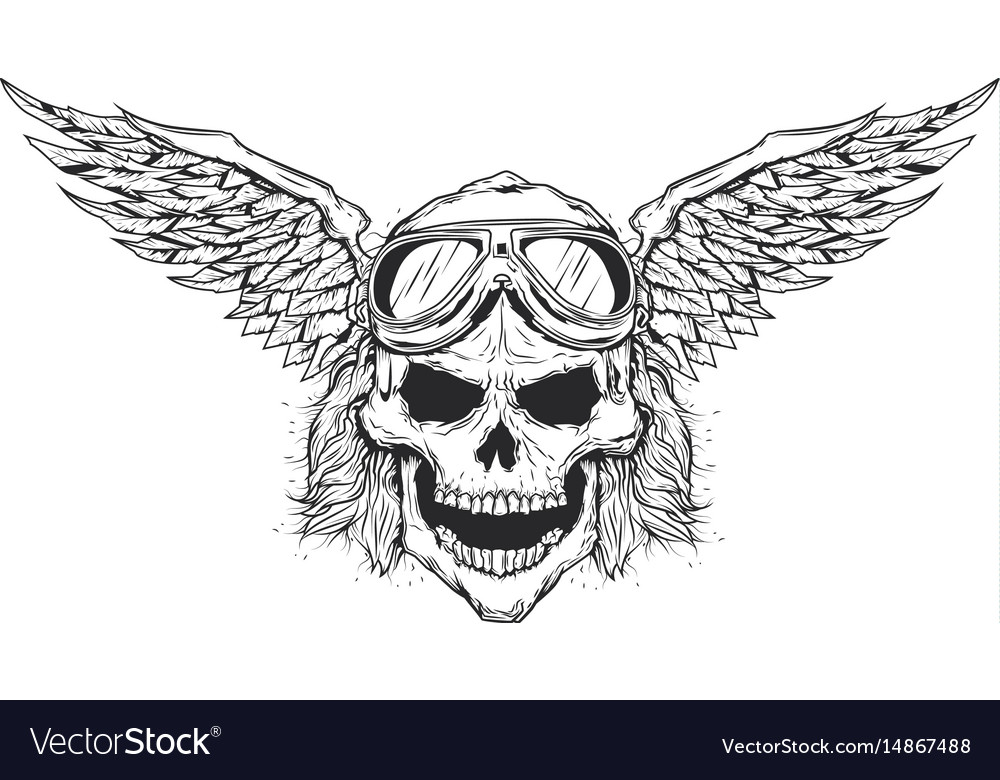 Skull Royalty Free Vector Image - VectorStock