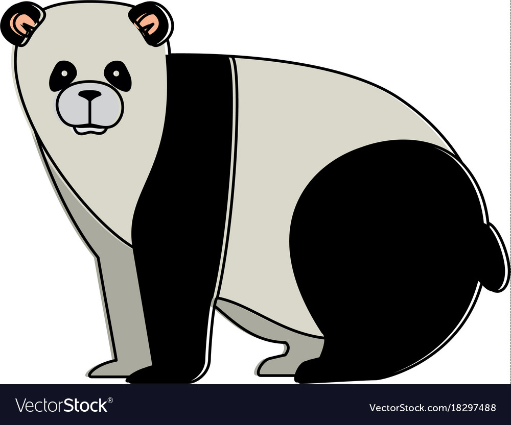 Wild bear panda icon