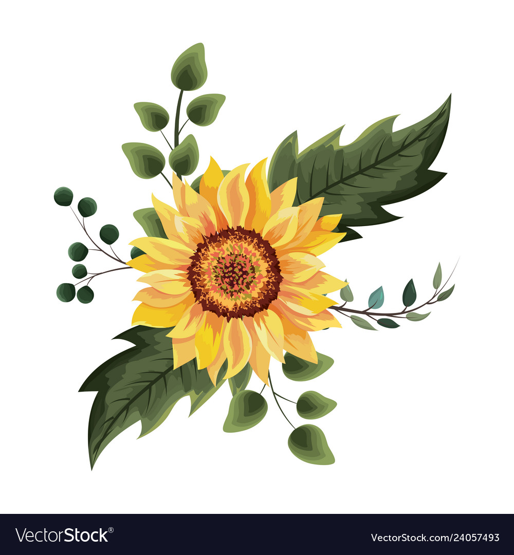 Download Beautiful sunflower drawing Royalty Free Vector Image