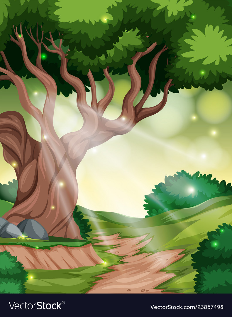 a tropical rainforest background