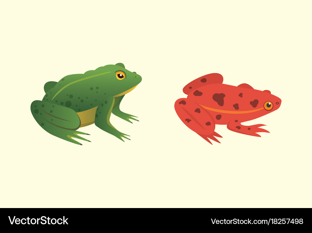exotic amphibians