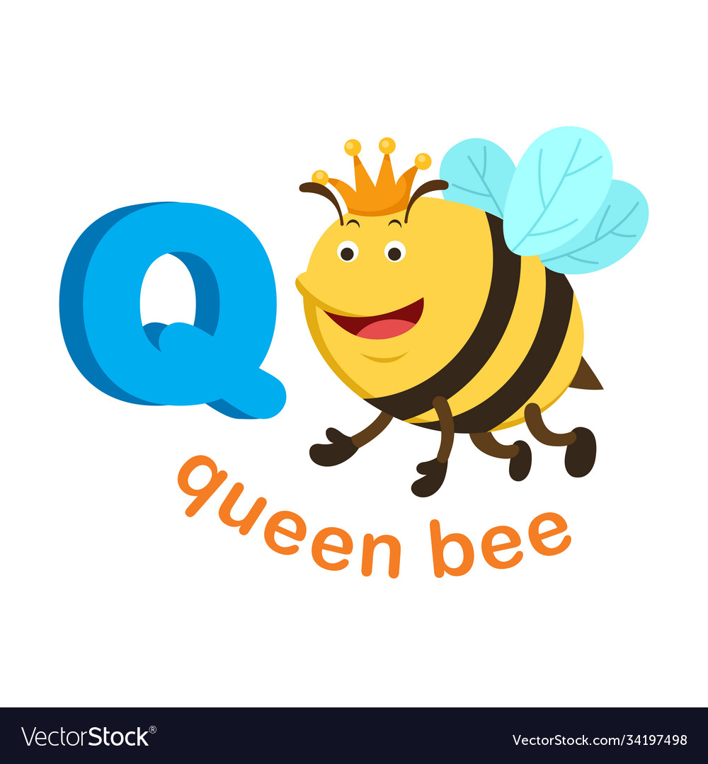 Isolated alphabet letter q queen bee Royalty Free Vector