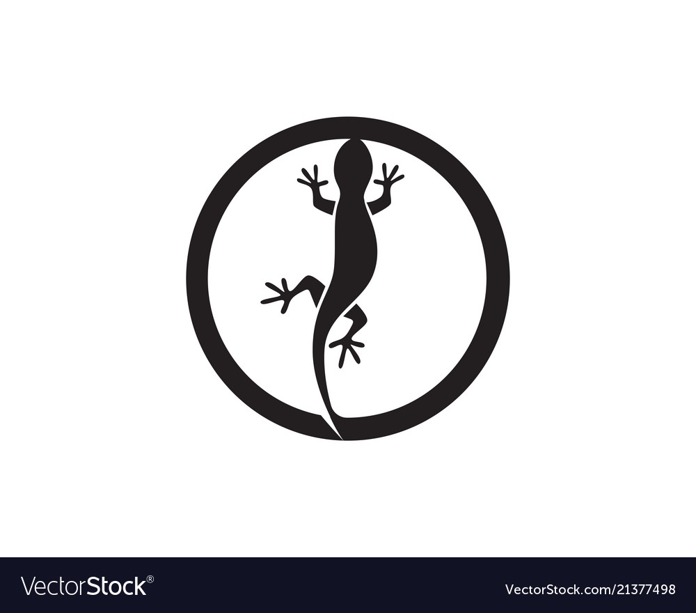 Lizard chameleon gecko silhouette black