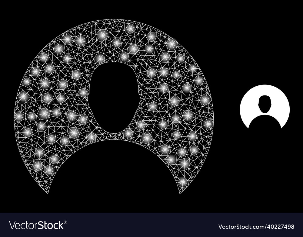Mesh web customer with glare constellation vector image Mesh web customer with glare constellation