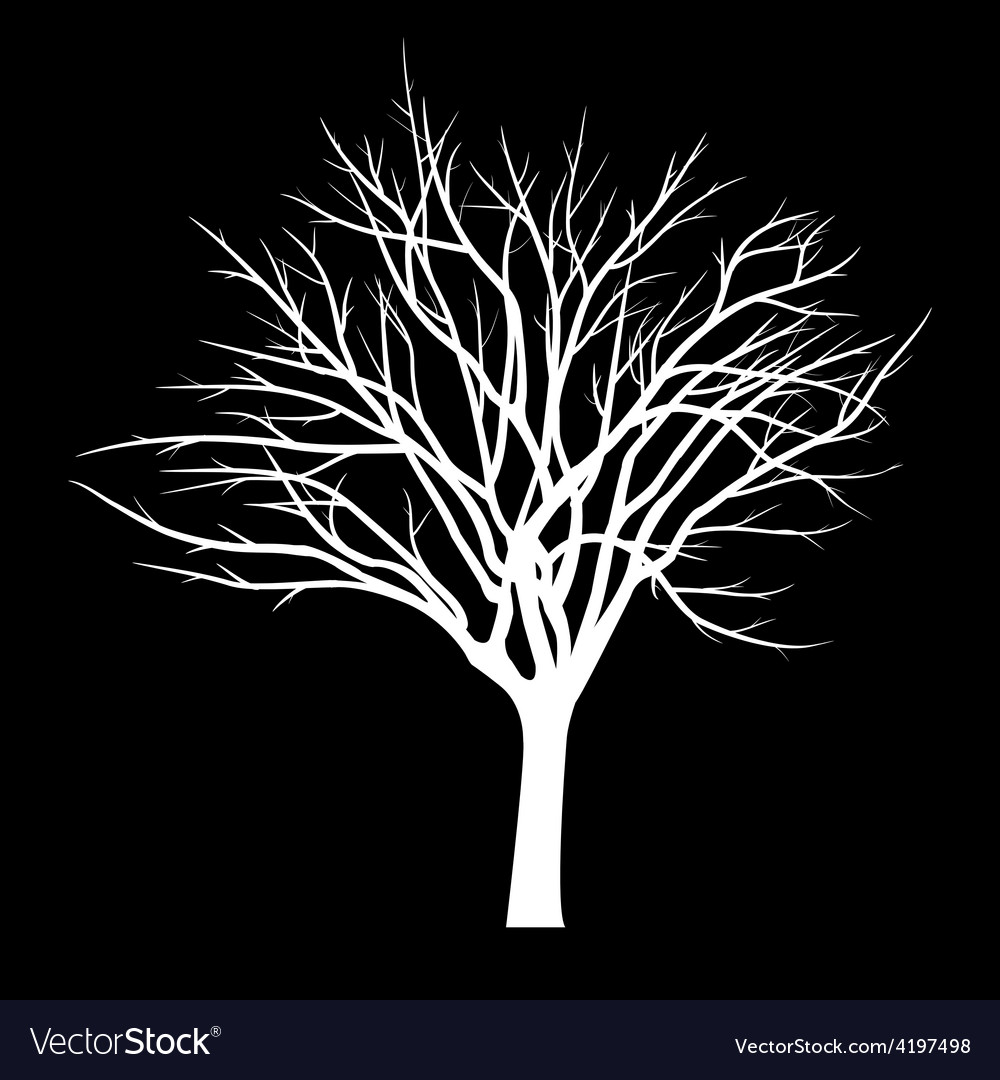 Trees with dead branch