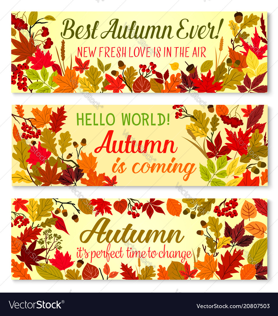 Autumn banner fall season forest nature frame Vector Image