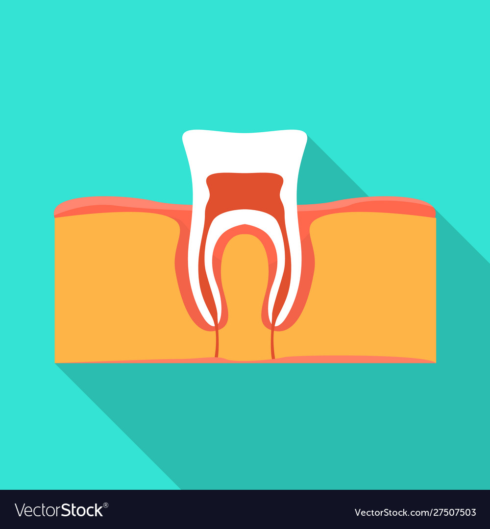 Isolated object tooth and gingiva logo web