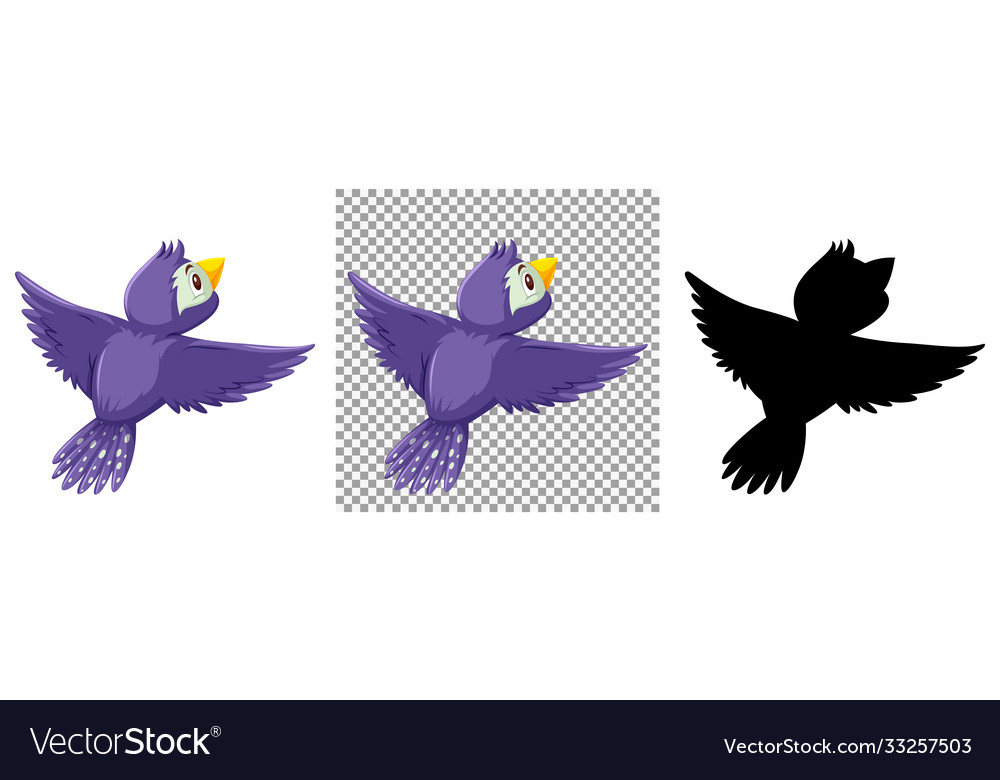 Set bird character