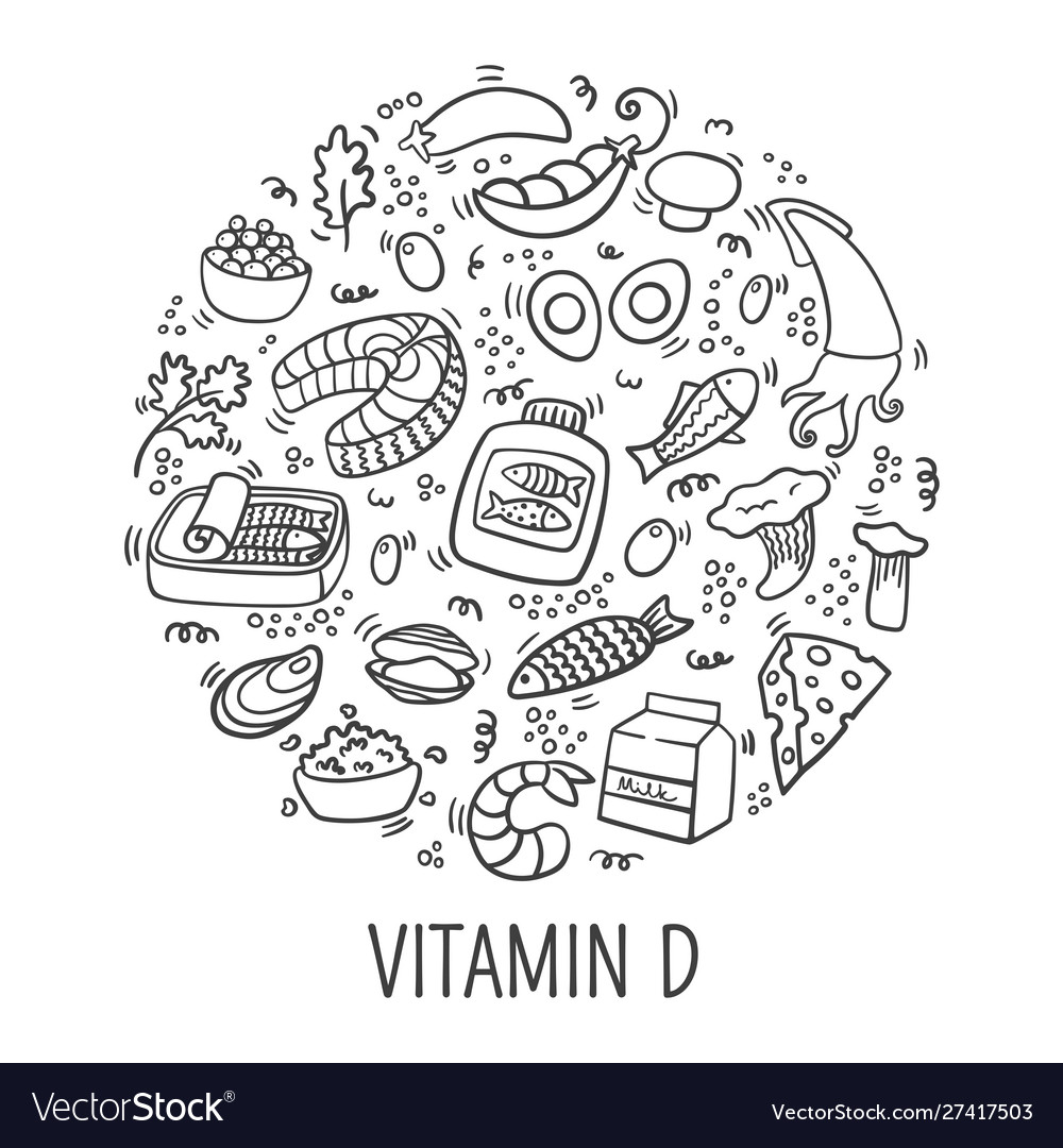 Vitamin d doodle outline in circle sources vector image Vitamin d doodle outline in circle sources
