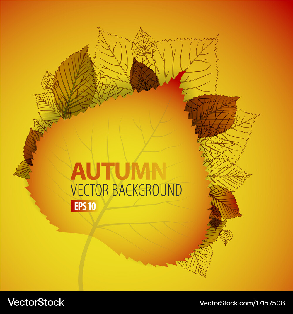 Autumn abstract floral background Royalty Free Vector Image