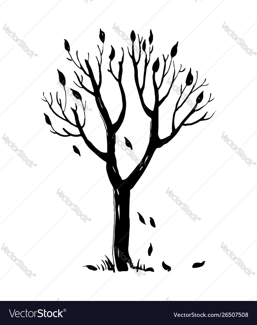 Hand drawn autumn tree with falling leaves Vector Image