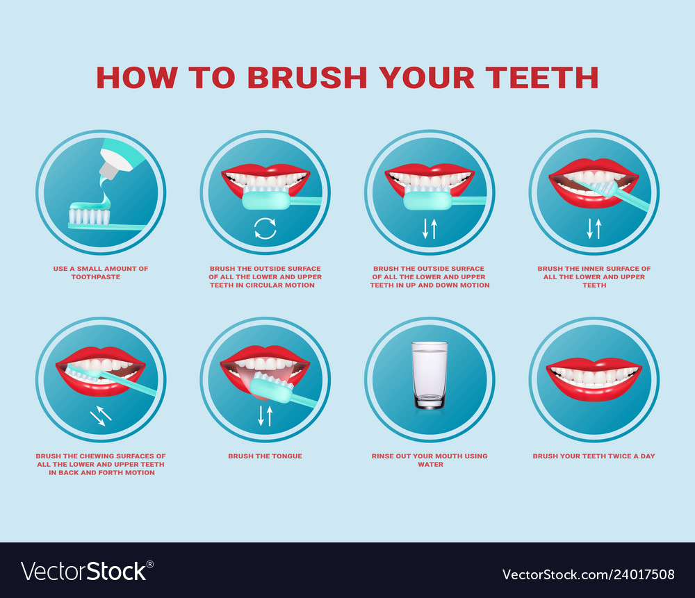 How To Brush Your Teeth Step by step Instruction Vector Image