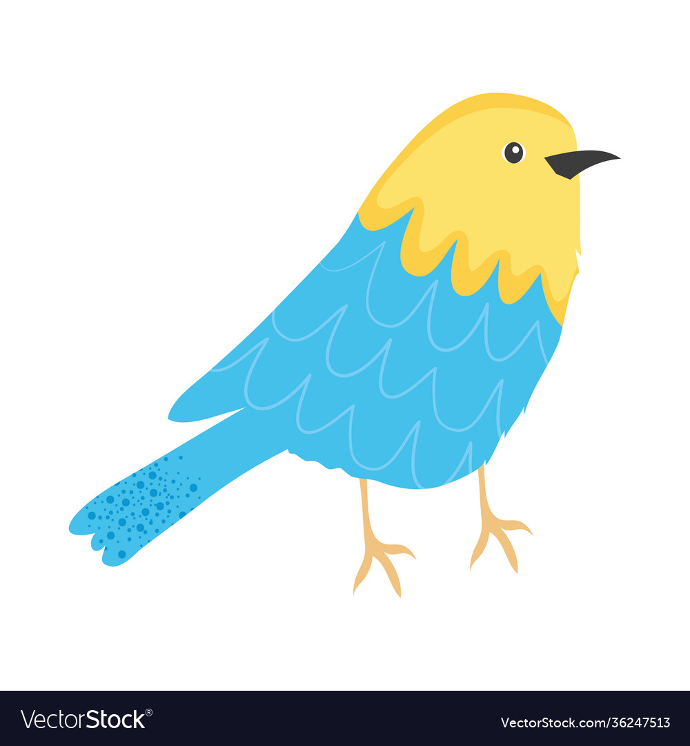 Cute bird icon colorful design