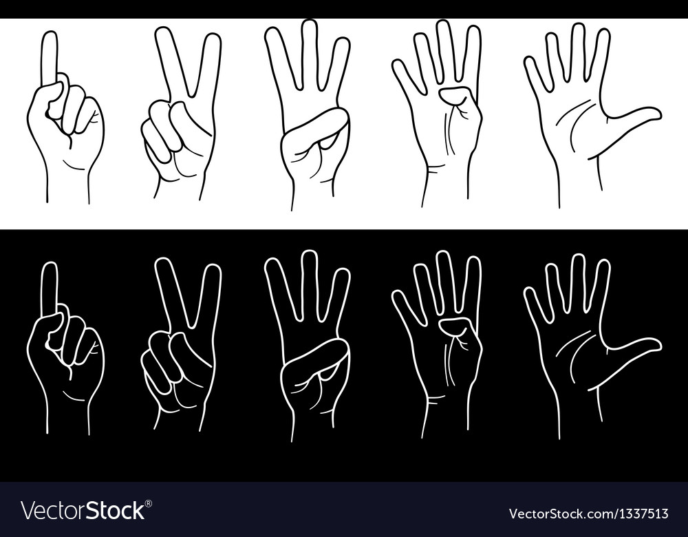 Hands and fingers Royalty Free Vector Image - VectorStock