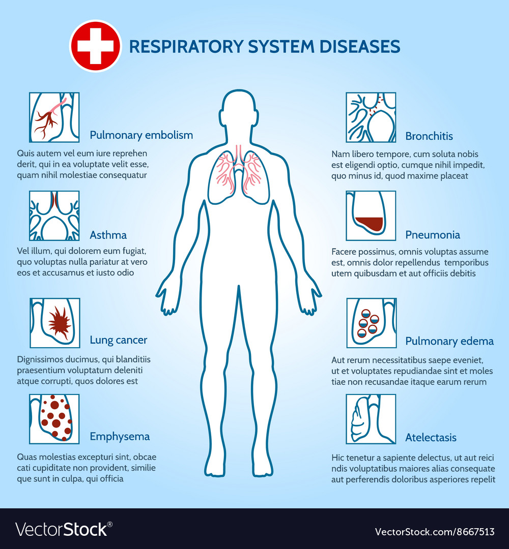 Describe 5 Diseases Of The Respiratory System