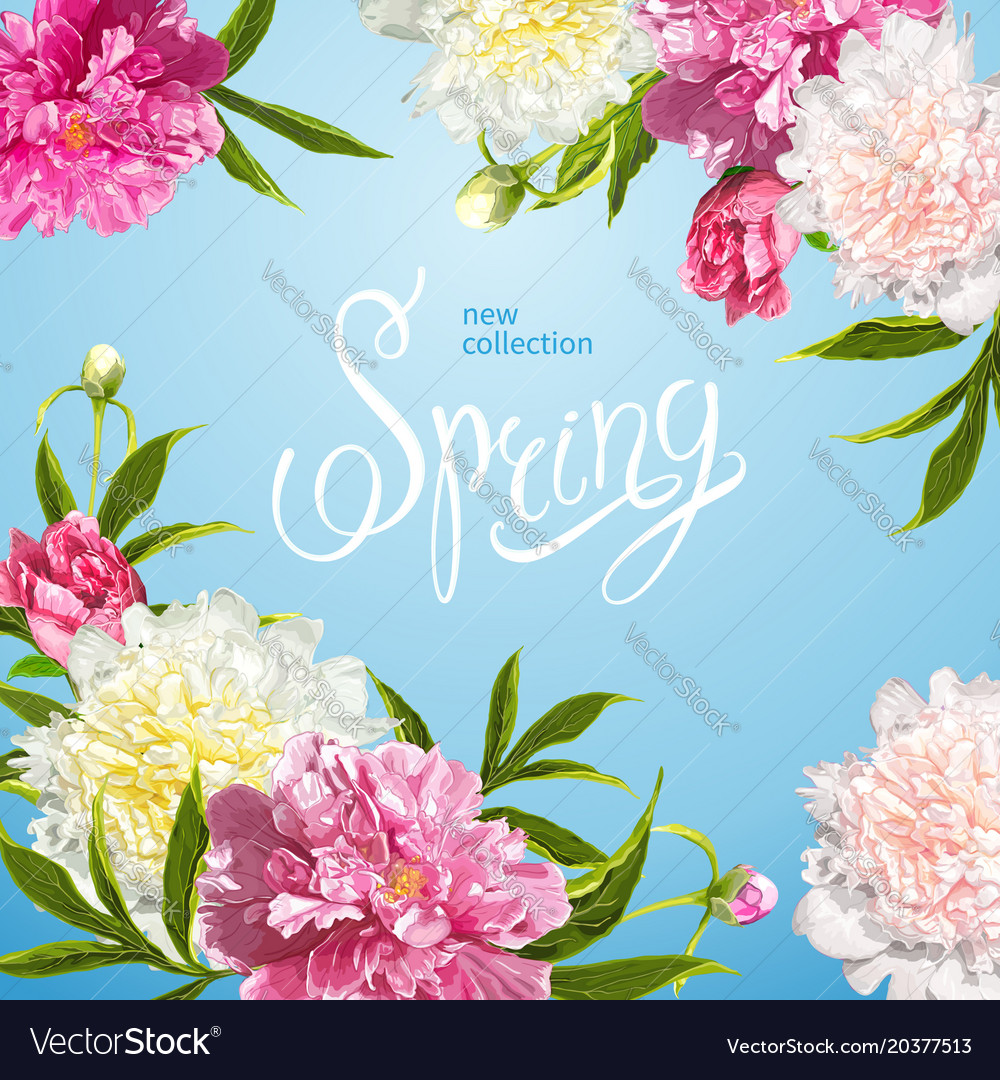 Spring collection background with peones