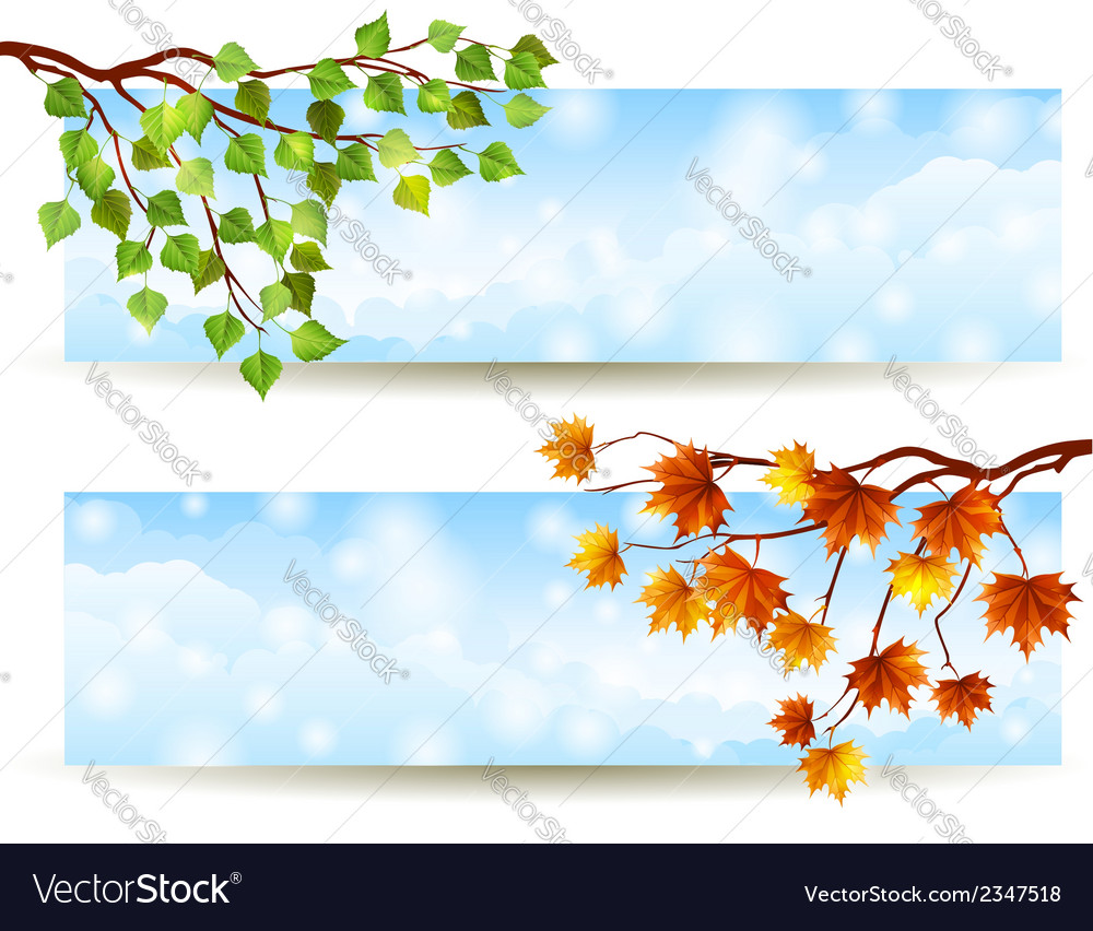 Branch Royalty Free Vector Image - VectorStock