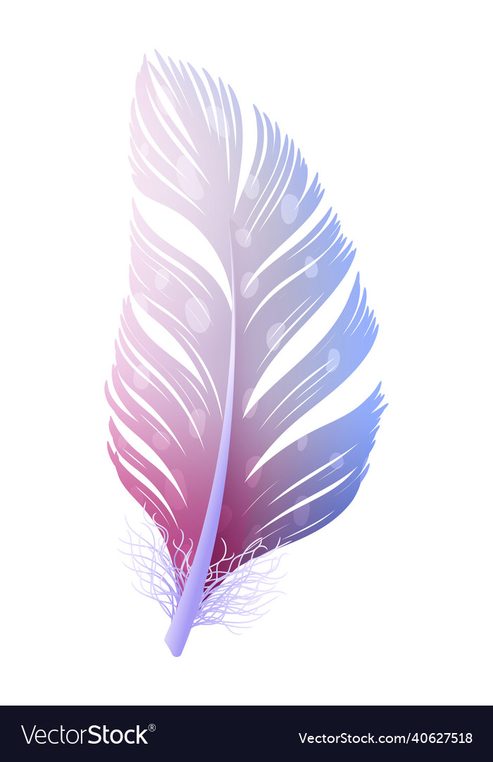 Colorful quill curved fluffy feather in tribal vector image Colorful quill curved fluffy feather in tribal