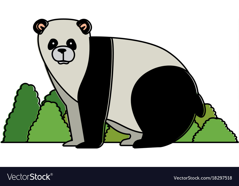 Wild bear panda with bush