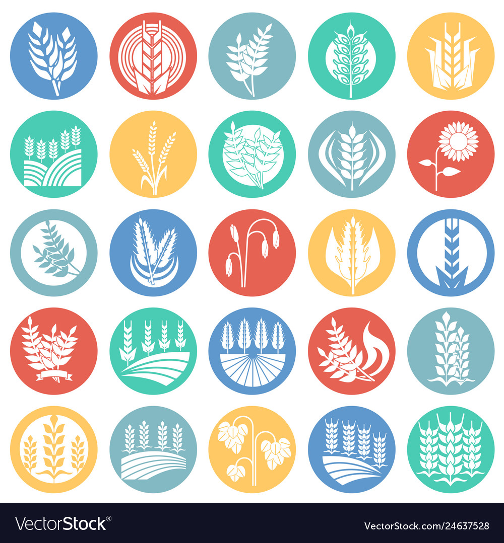 Cereal icons set on color circles background