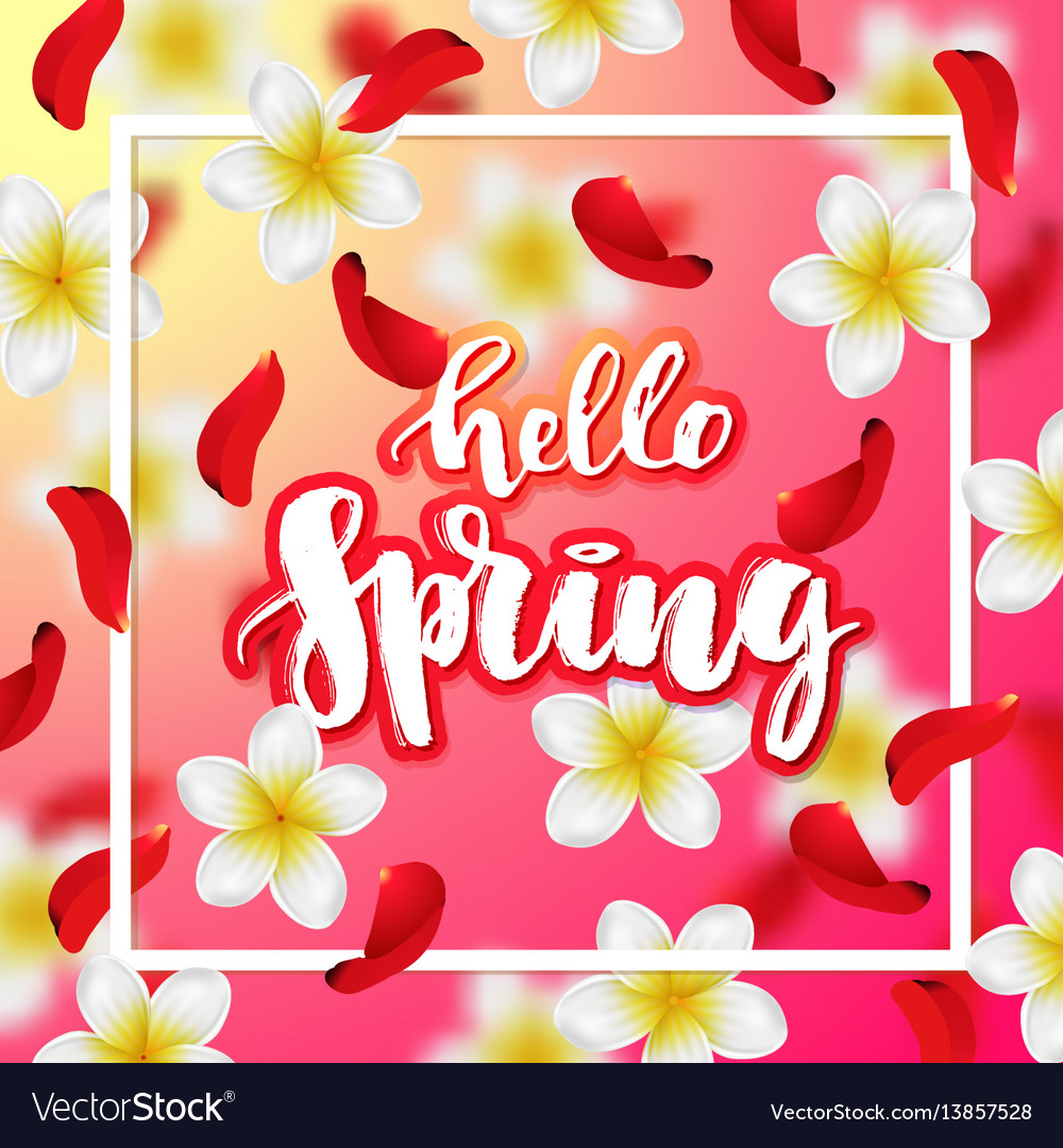 Hand drawn calligraphy hello spring vector image Hand drawn calligraphy hello spring