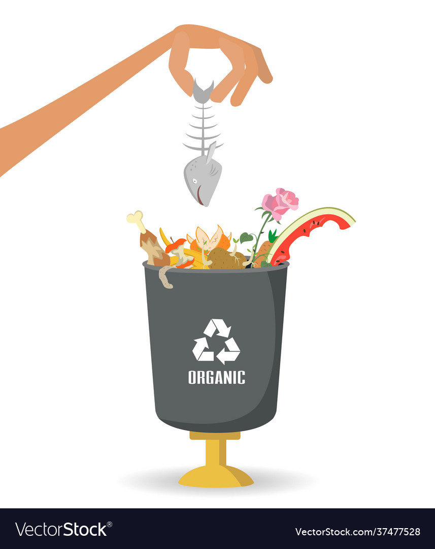 Man throws garbage into a organic container vector image Man throws garbage into a organic container