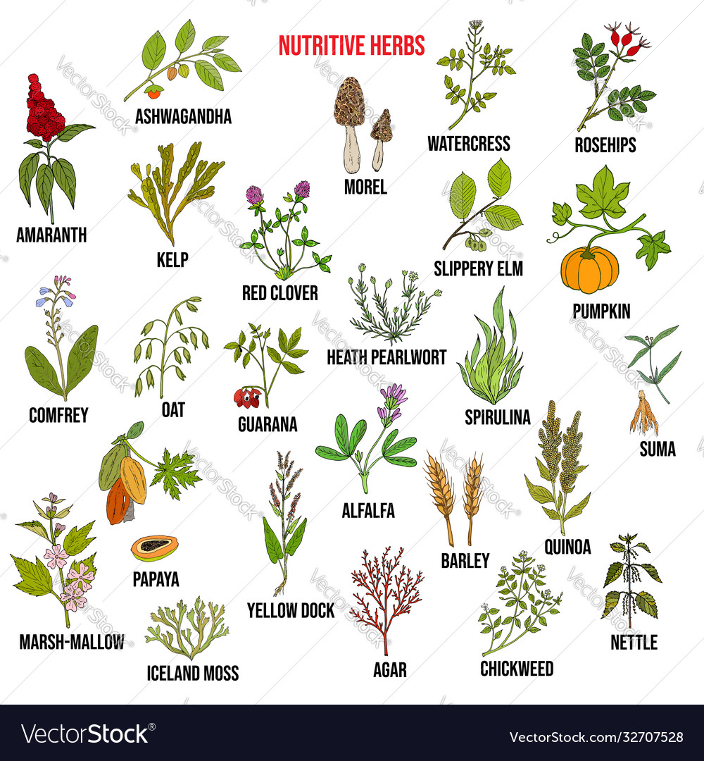 Nutritive Herb Collection